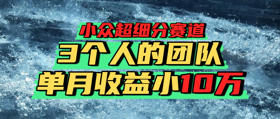 小众超细分赛道，一年百万利润的盘子！-六道网创