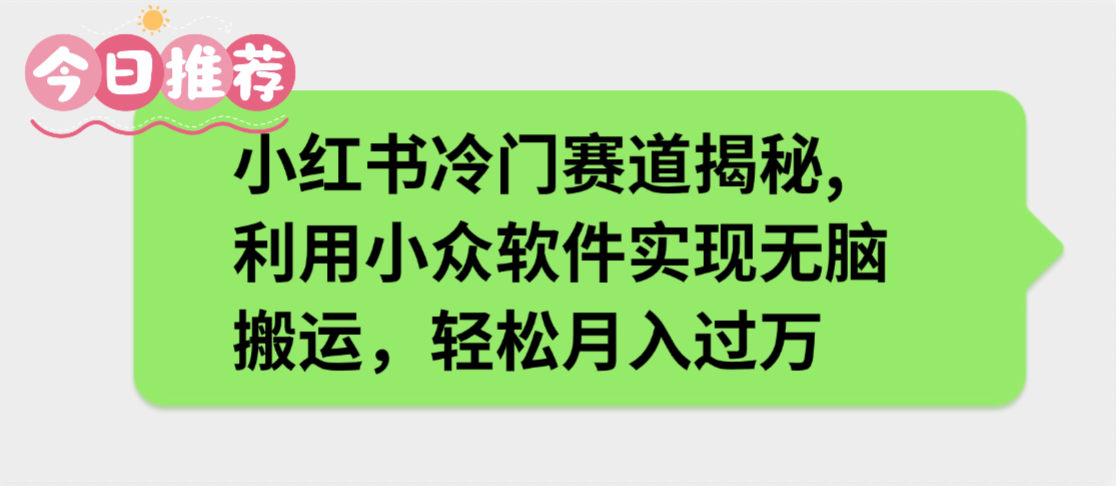 小红书冷门赛道揭秘,利用小众软件实现无脑搬运，轻松月入过万-六道网创
